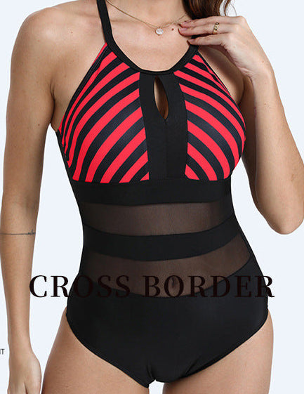 Striped Mesh One-Piece Swimsuit